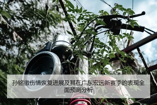 孙铭徽伤情恢复进展及其在广东宏远新赛季的表现全面预测分析