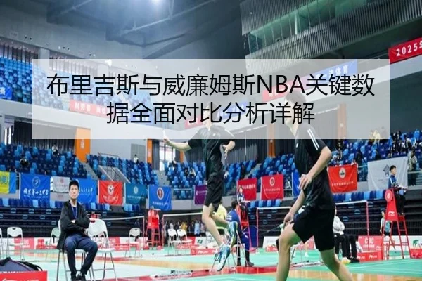 布里吉斯与威廉姆斯NBA关键数据全面对比分析详解